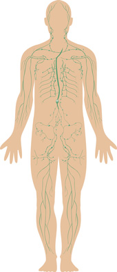 lymfoedeem